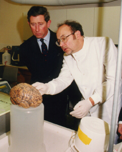 {short description of image}